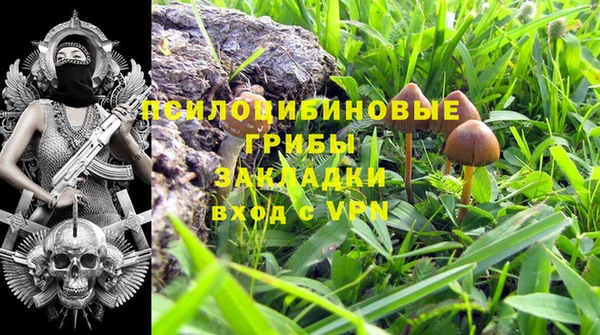 apvp Аркадак