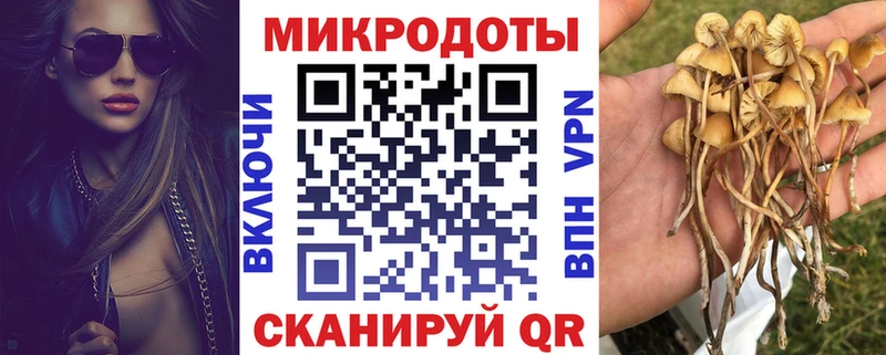 Галлюциногенные грибы Psilocybine cubensis  Купить  Николаевск-на-Амуре 